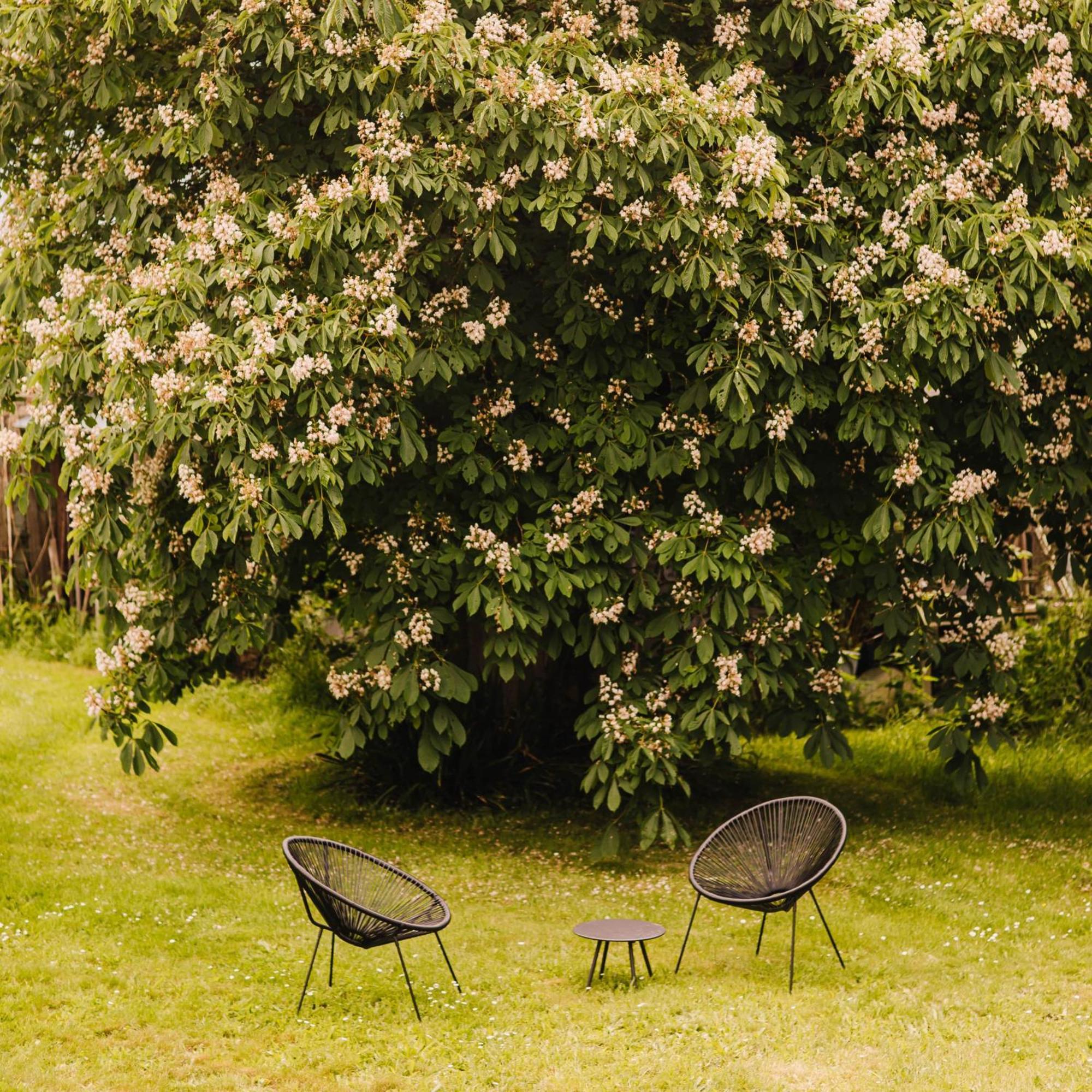 Ecolodge La Belle Verte Saint-Mʼhervé Dış mekan fotoğraf