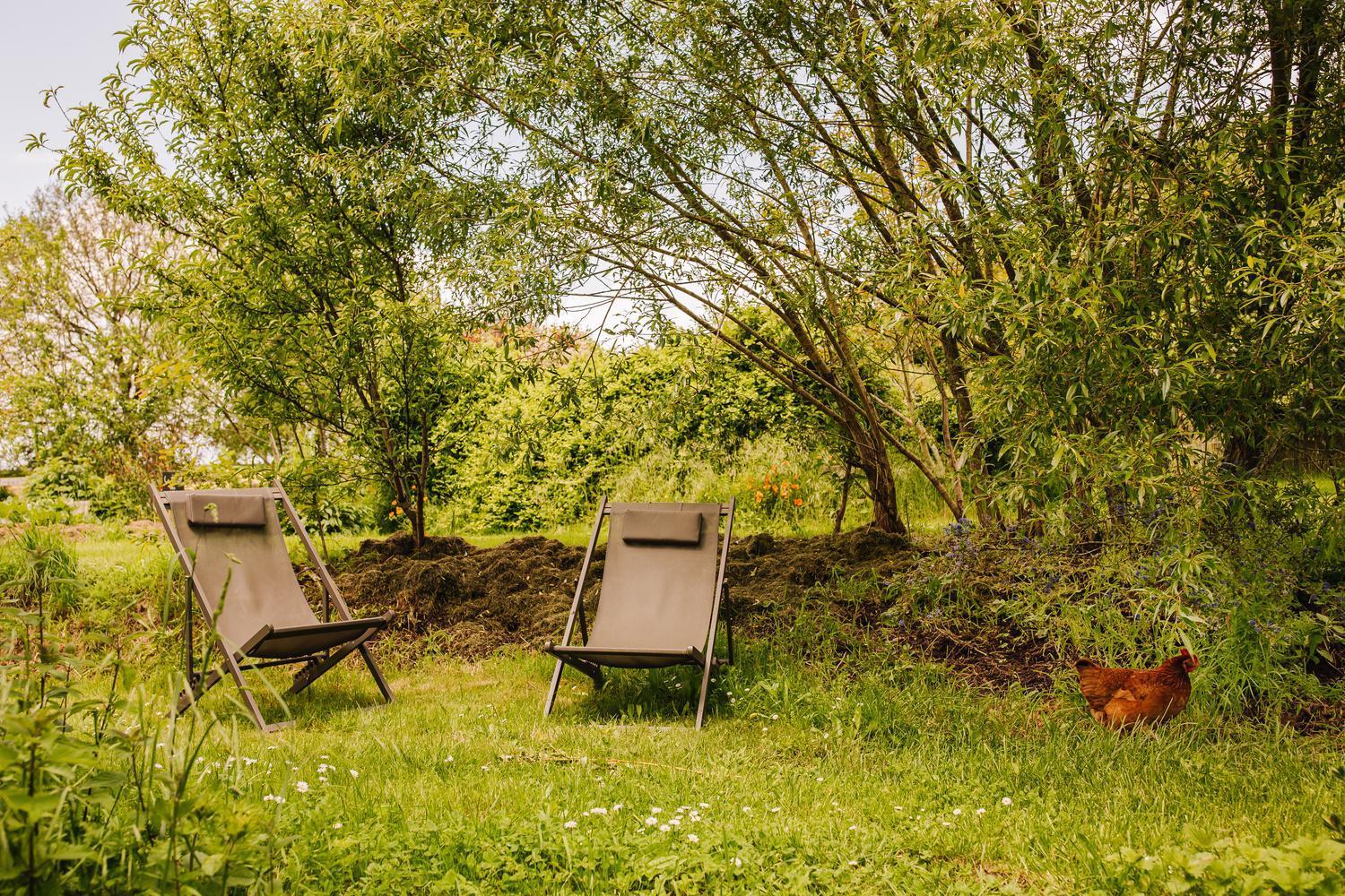 Ecolodge La Belle Verte Saint-Mʼhervé Dış mekan fotoğraf